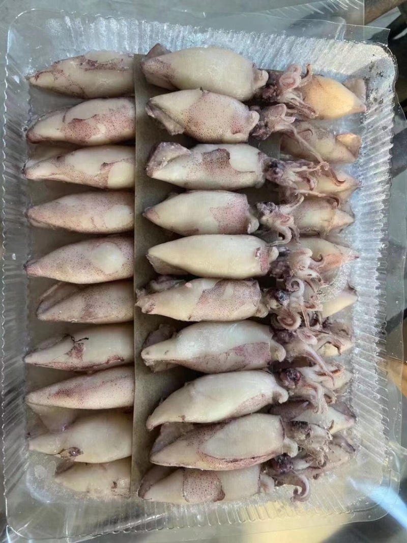 精品海鲜海兔全籽海兔笔管鱼半子海兔