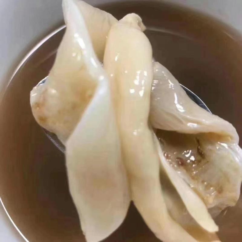 赤嘴鳘鱼胶陈年老花胶公母肚正品干货鱼鳔孕妇月子