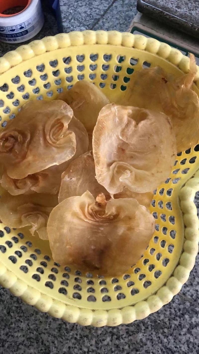 赤嘴鳘鱼胶陈年老花胶公母肚正品干货鱼鳔孕妇月子