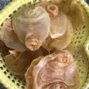 赤嘴鳘鱼胶陈年老花胶公母肚正品干货鱼鳔孕妇月子
