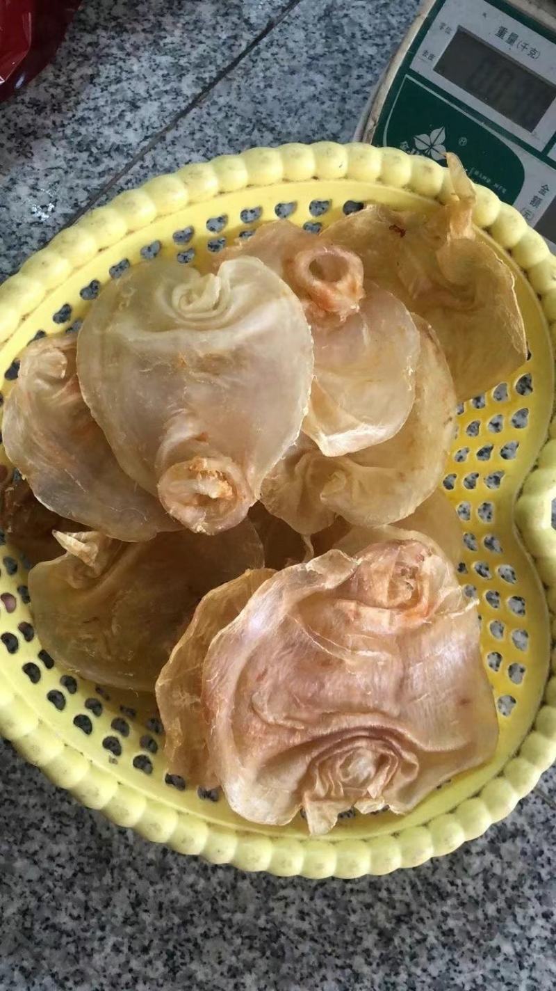 赤嘴鳘鱼胶陈年老花胶公母肚正品干货鱼鳔孕妇月子