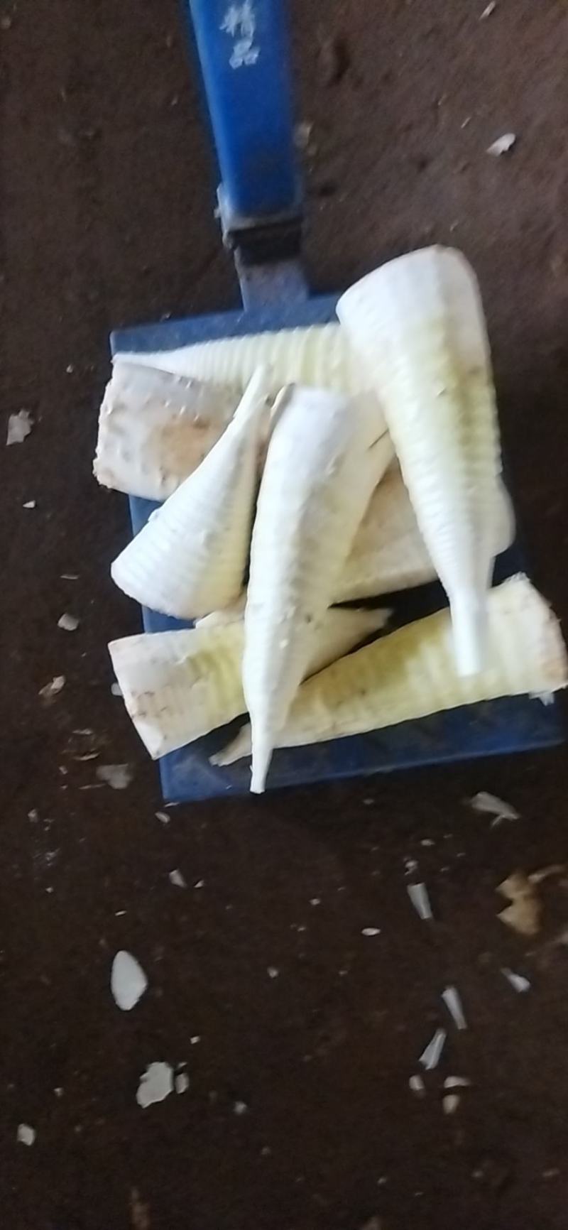 厂家直销，纯烤玉兰片与凤尾丝。