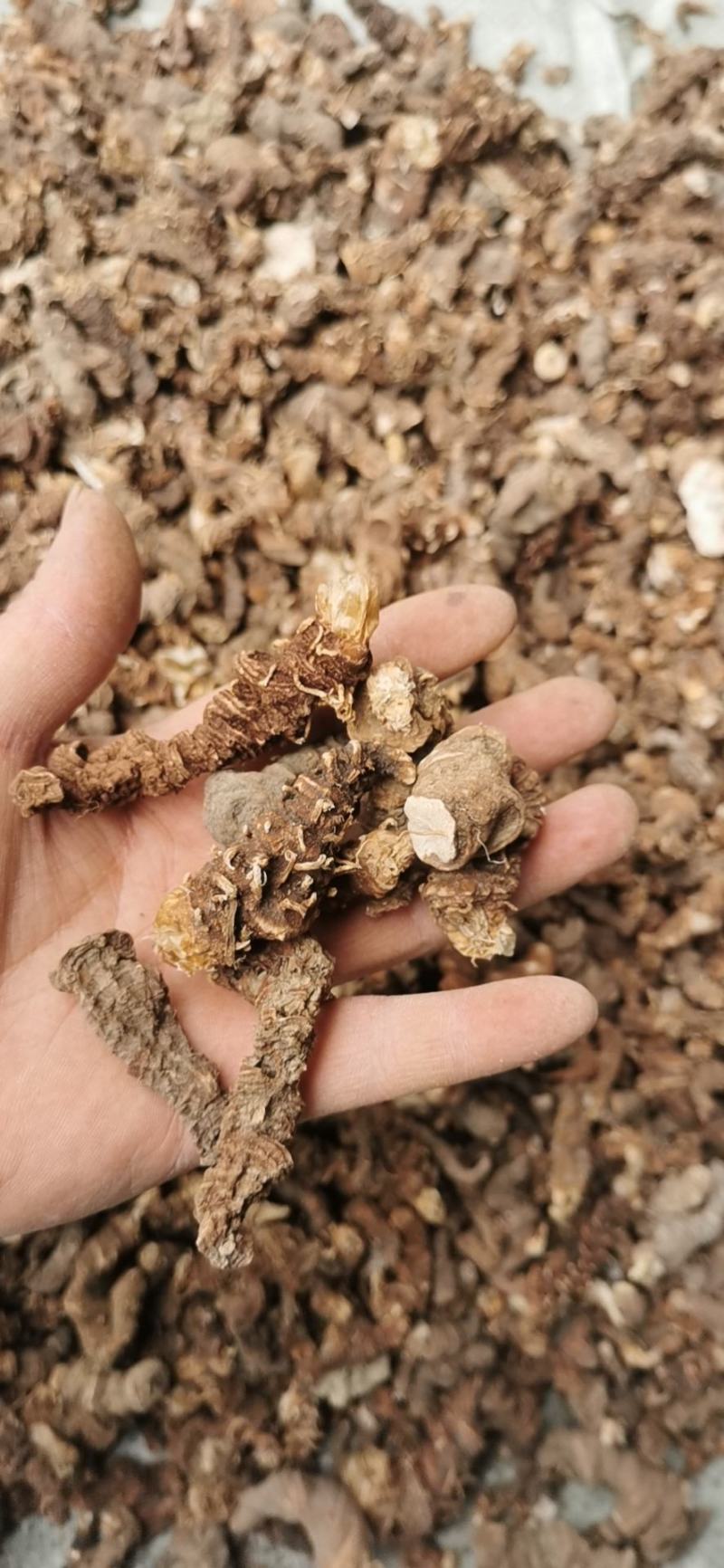 野生重楼，七叶一枝花，足斤足两，一手货源。