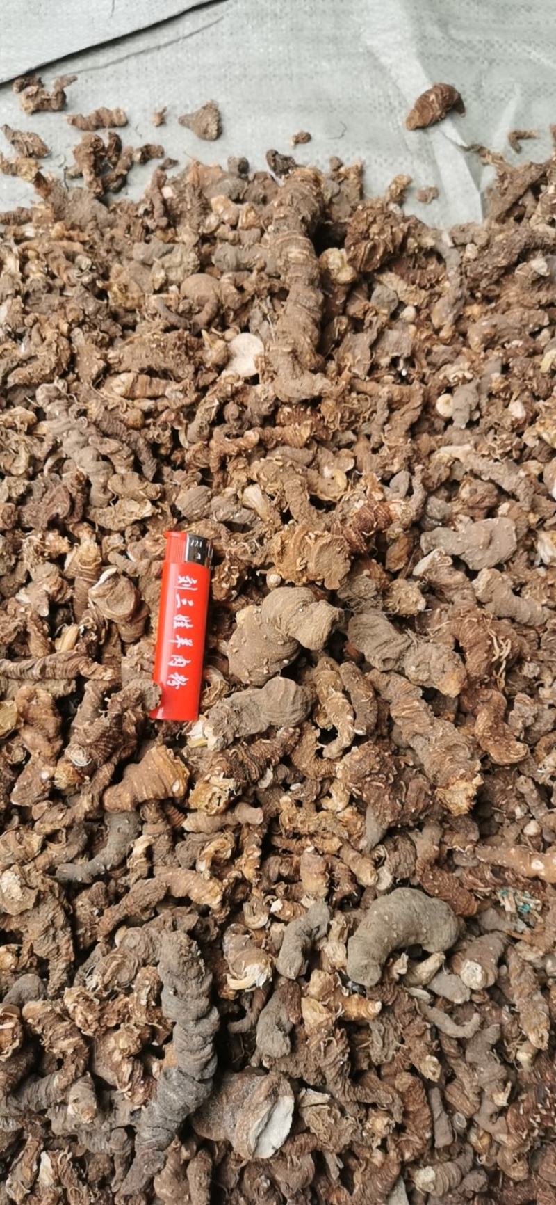 野生重楼，七叶一枝花，足斤足两，一手货源。