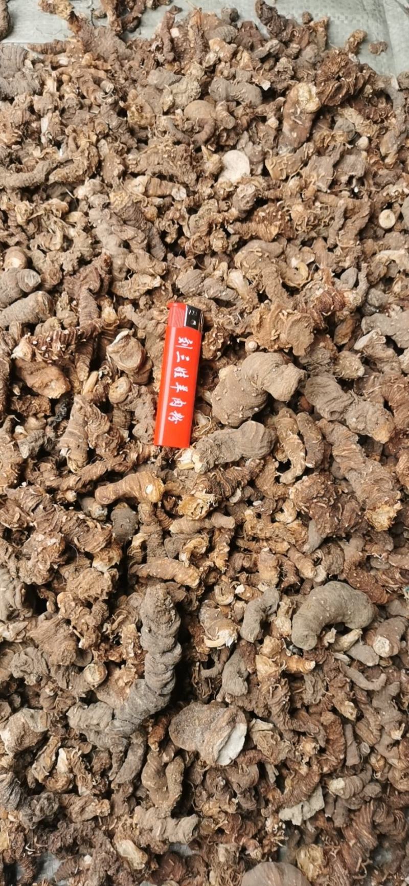 野生重楼，七叶一枝花，足斤足两，一手货源。