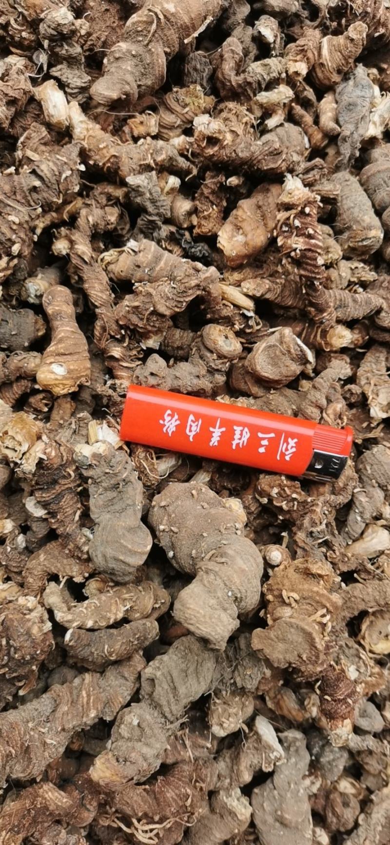 野生重楼，七叶一枝花，足斤足两，一手货源。