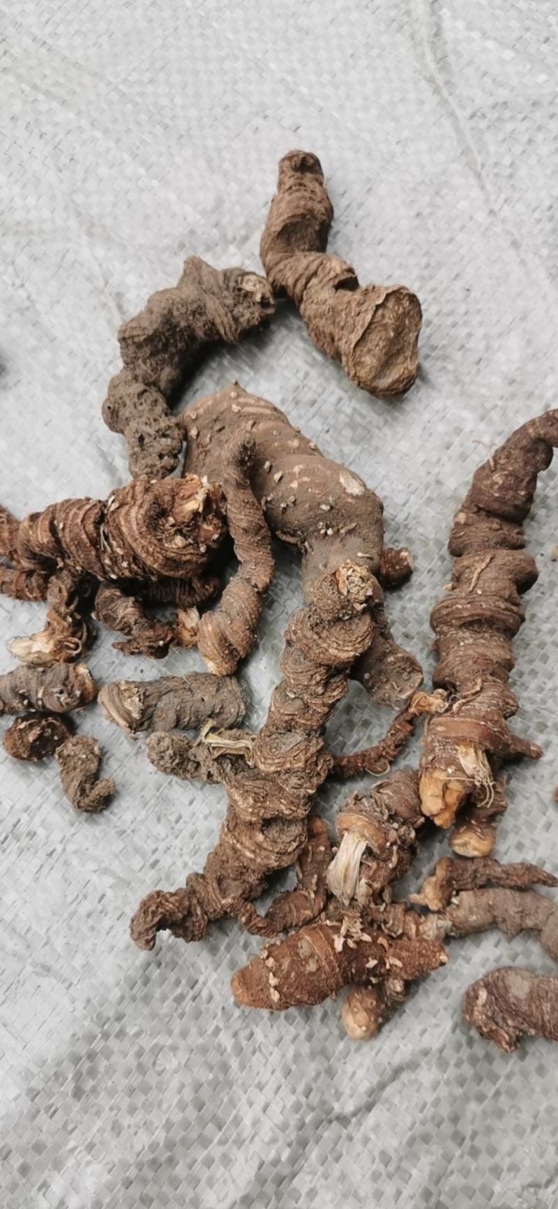 野生重楼，七叶一枝花，足斤足两，一手货源。