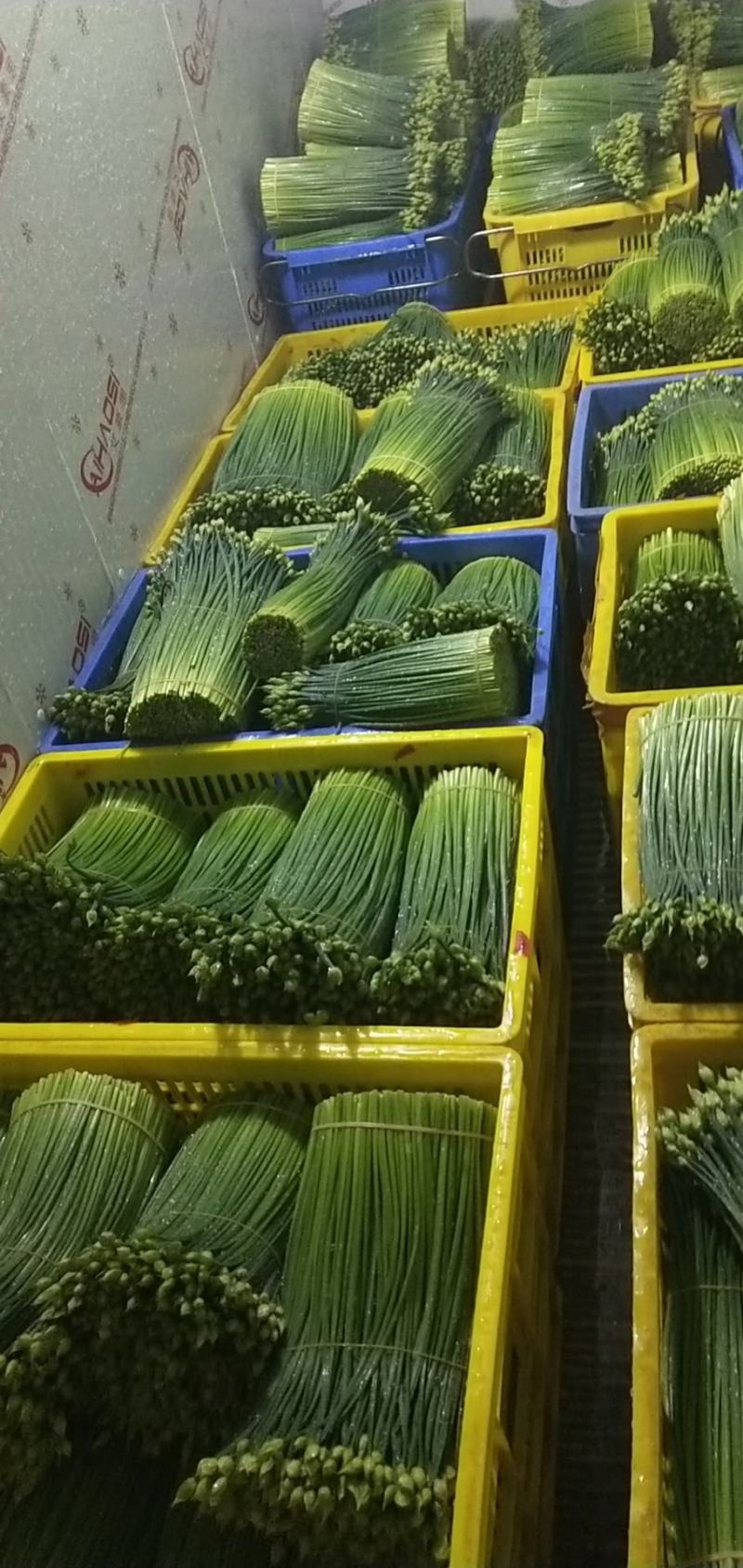 产地自销保证质量韭菜花
