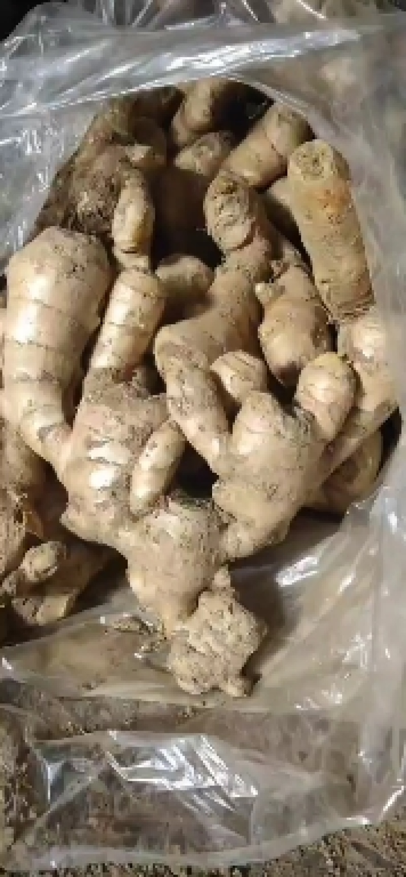 优质生姜精品大黄姜，产地直销货源充足，价格优惠全国发货