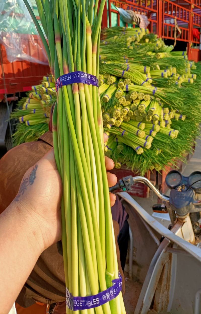 邳州精品小红帽适合发每个市场邳州精品小红帽适合发每个市场