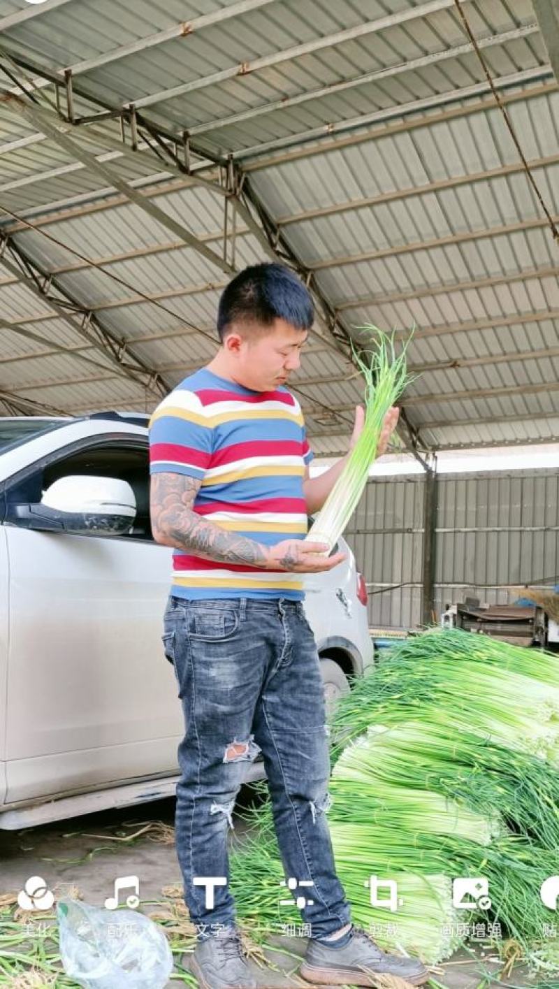 邳州精品小红帽适合发每个市场邳州精品小红帽适合发每个市场