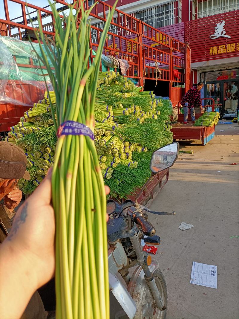 邳州精品小红帽适合发每个市场邳州精品小红帽适合发每个市场