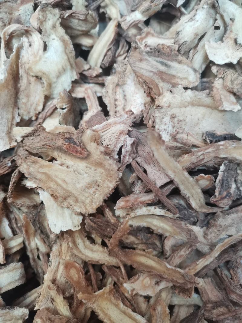 云南中药材当归粉纯正无硫农家当归粉500g