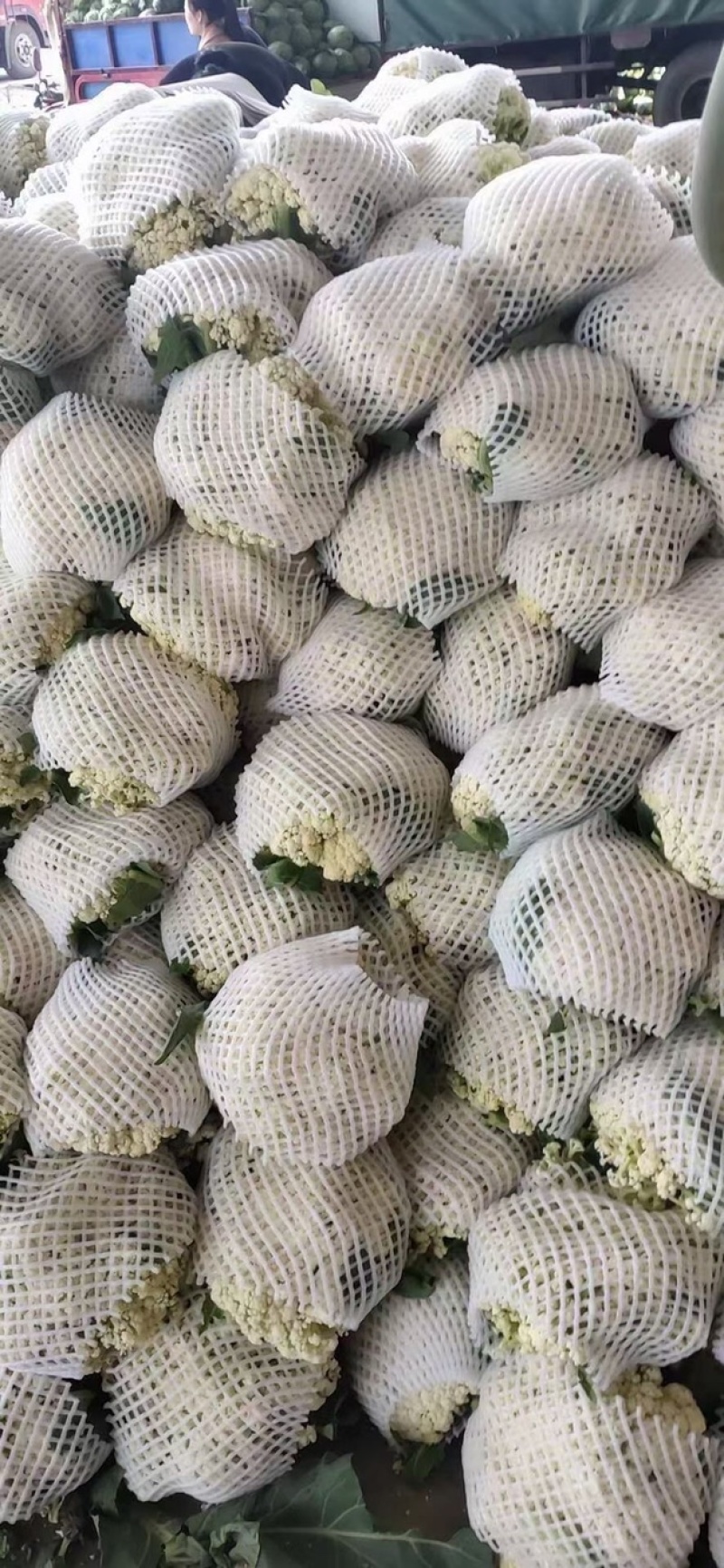 有机花，实花，大量有货，需要的老板赶紧