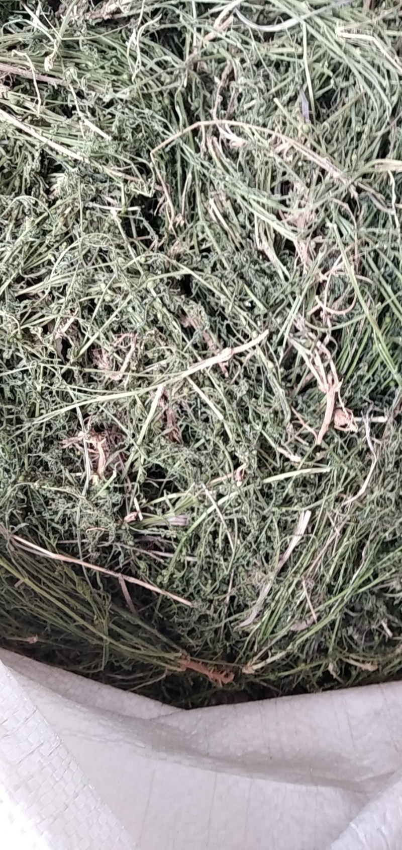野生百蕊草大别山特产2020年新货不是野生不要钱