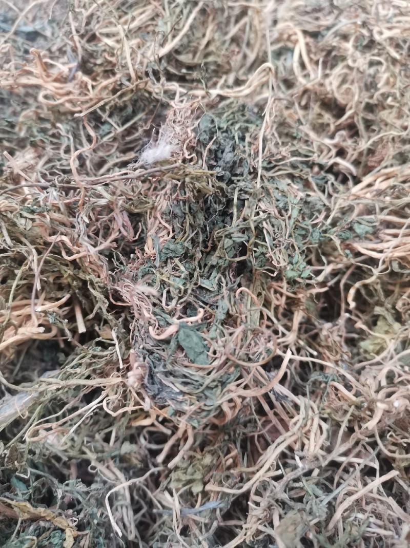 云南野生中药材半边莲半边连半边菊细米草500g包邮