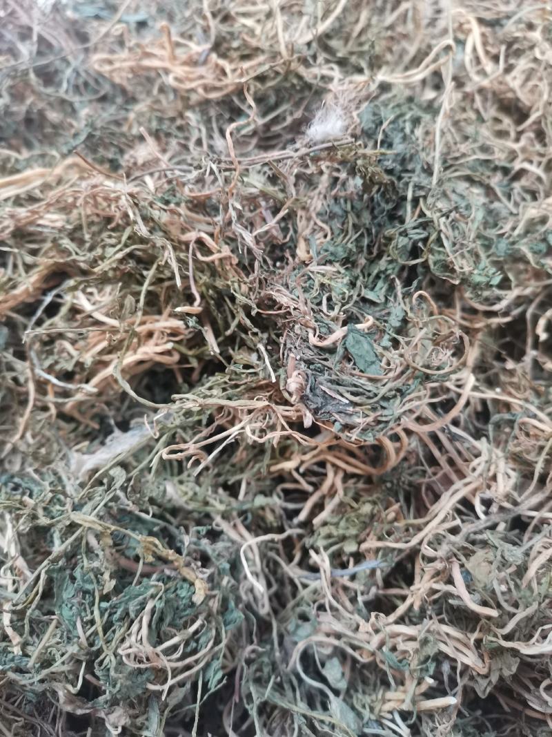 云南野生中药材半边莲半边连半边菊细米草500g包邮