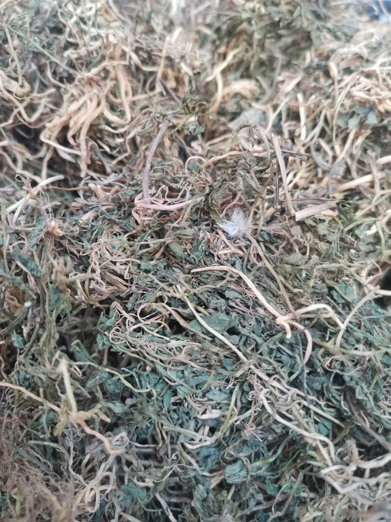 云南野生中药材半边莲半边连半边菊细米草500g包邮