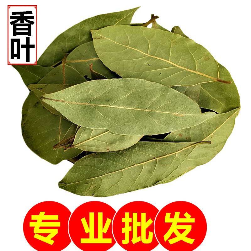 正宗广西头茬新货香叶桂皮八角调味品卤料炖肉料炒菜调料香叶