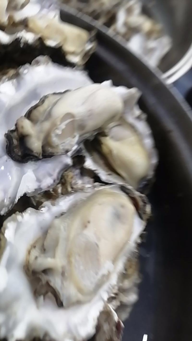 花边生蚝生蚝99元10斤包邮包肥6-8个头左右