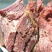 五香牛肉牛肩肉纯牛肉无水无淀粉无任何调理味道鲜美品相好