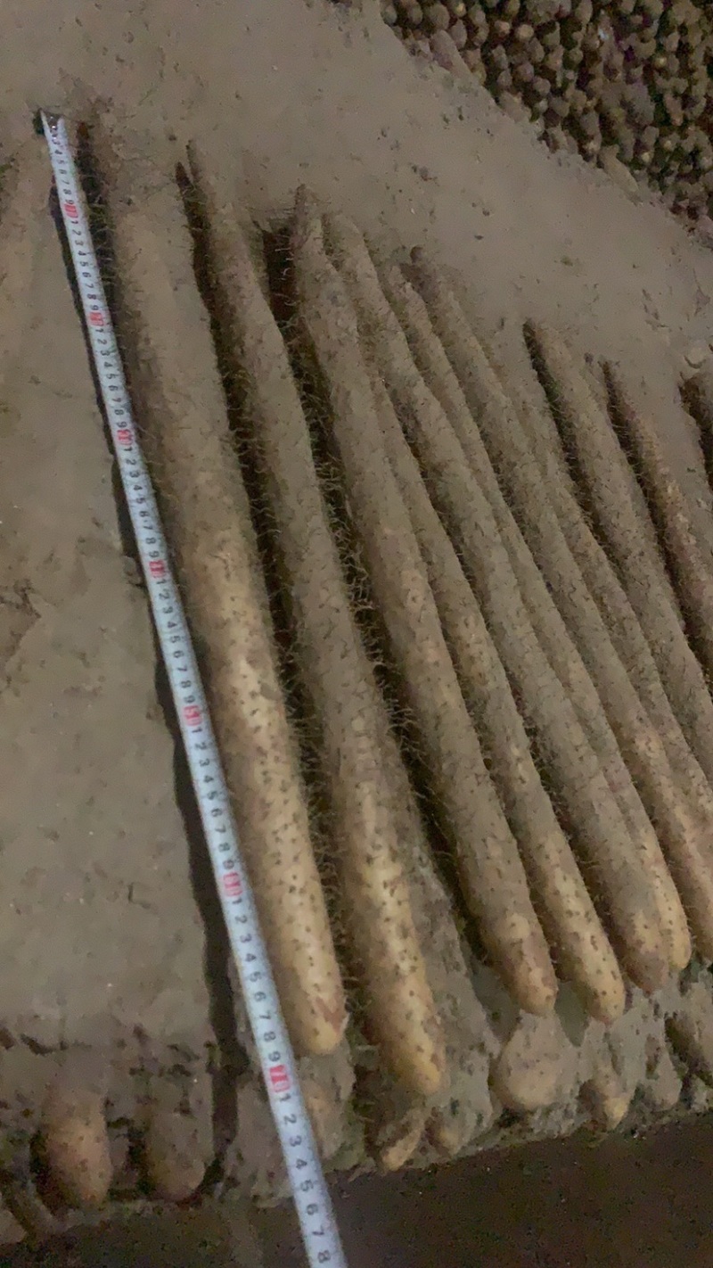山药麻山药棒山药铁棍山药软绵价格便宜合作共赢