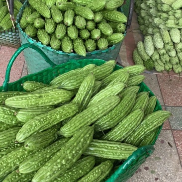 大丰收，各品种苦瓜大量预售上市。