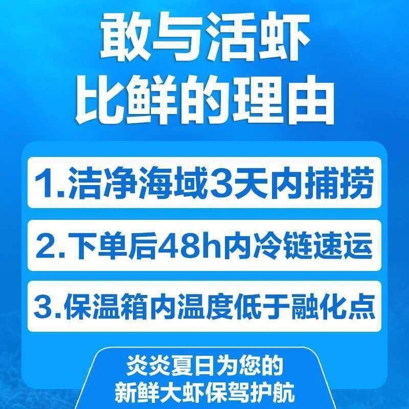 新鲜大虾超大新鲜冷冻海鲜深海虾青虾冻虾整箱