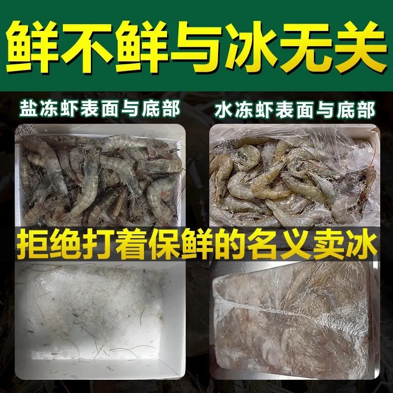新鲜大虾超大新鲜冷冻海鲜深海虾青虾冻虾整箱