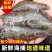 新鲜大虾超大新鲜冷冻海鲜深海虾青虾冻虾整箱