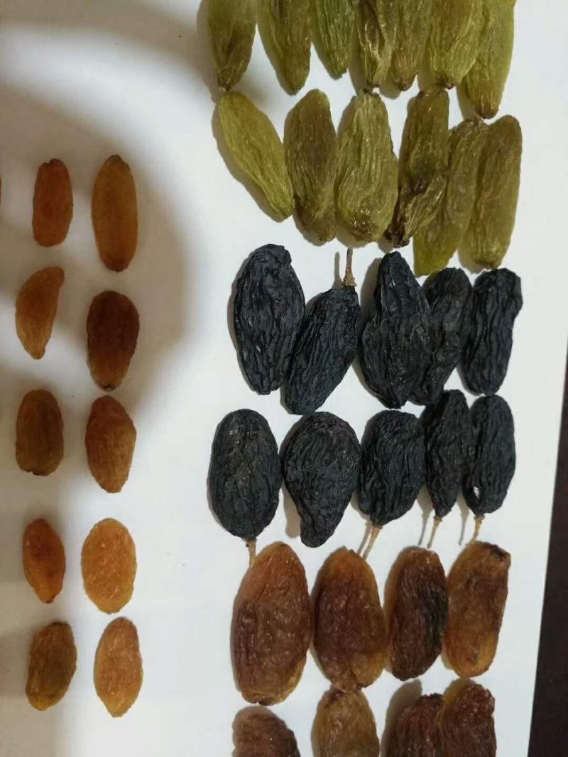 新疆特产葡萄干无杂质货源充足支持视频看货
