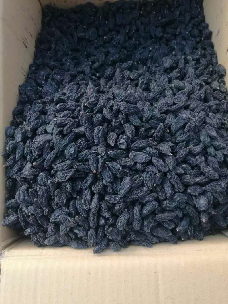 新疆特产葡萄干无杂质货源充足支持视频看货