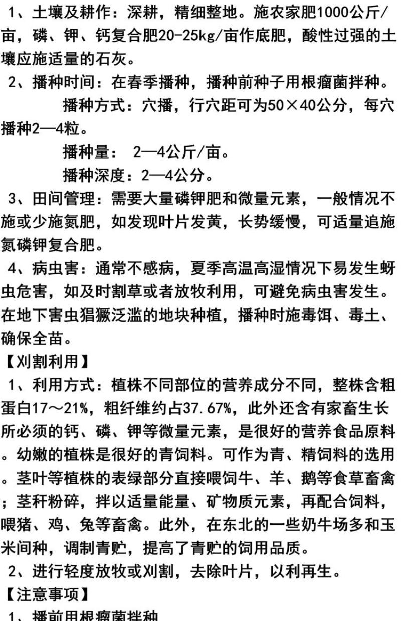 拉巴豆牧草种子固氮抗旱耐贫瘠防杂草高值改土