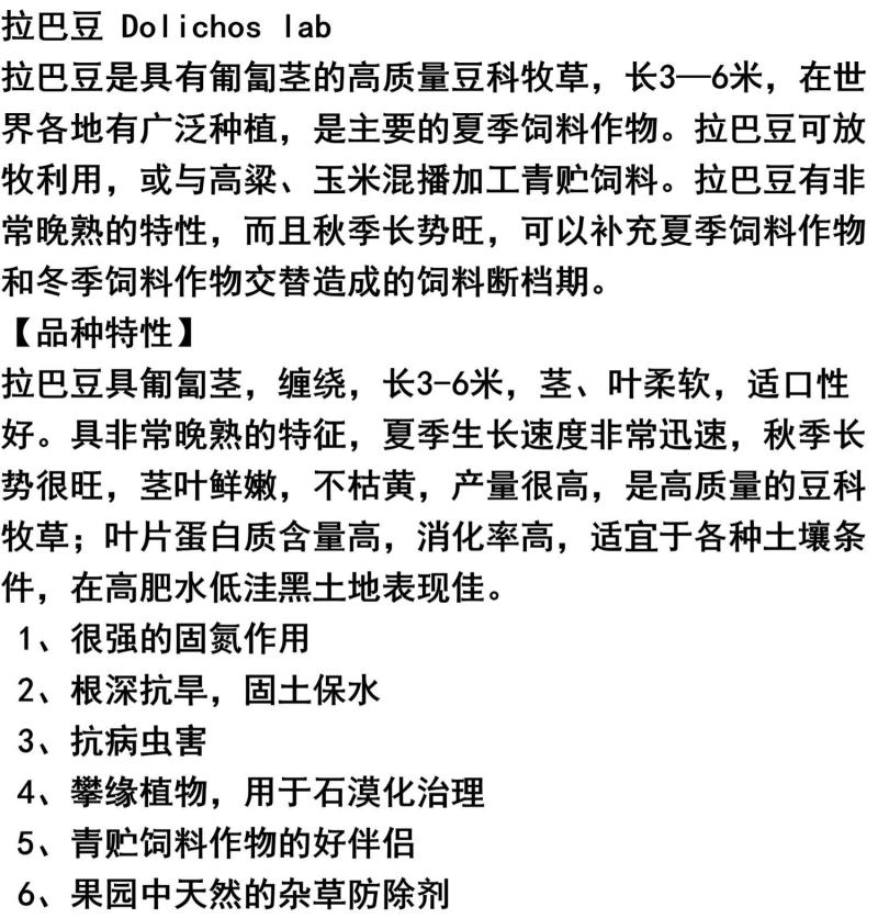 拉巴豆牧草种子固氮抗旱耐贫瘠防杂草高值改土