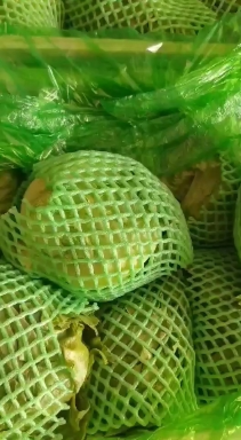 生菜球