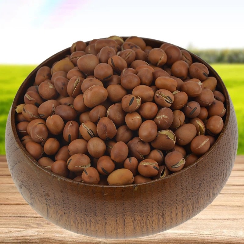 精品炒蚕豆羊眼豆大量现货现炒现发全国发货
