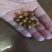 精品炒蚕豆羊眼豆大量现货现炒现发全国发货