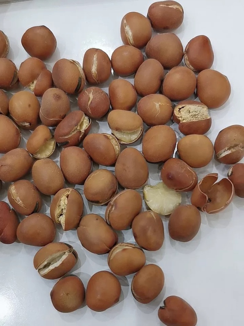 精品炒蚕豆羊眼豆大量现货现炒现发全国发货