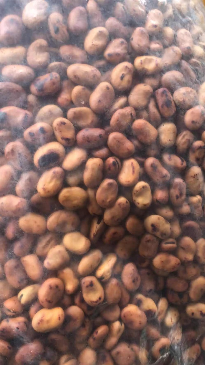 精品龙眼豆，颗颗酥脆，厂家直发，量大从优，欢迎联系