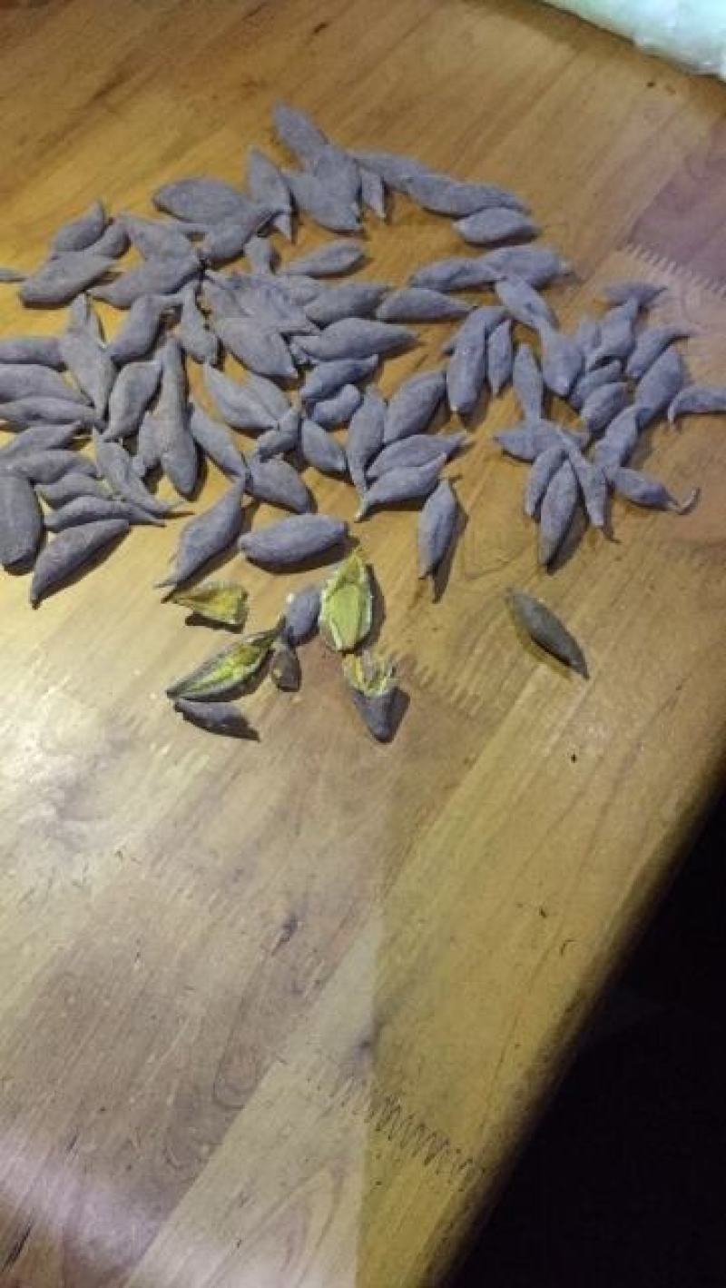 农家自产自销，中药材，黄丝郁金干货，无霉，阳光晒纯干货