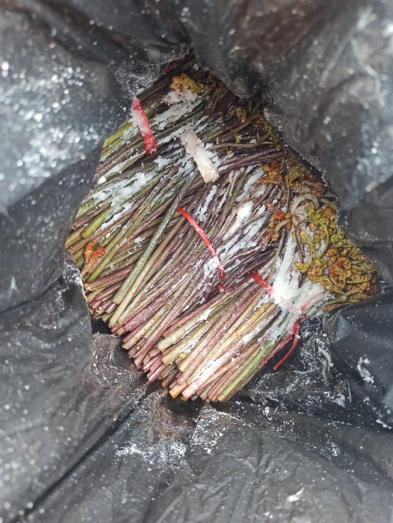 价格不一欢迎咨询