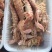 熟冻皮皮虾，虾爬活体加工(只只带膏)一斤/盒装