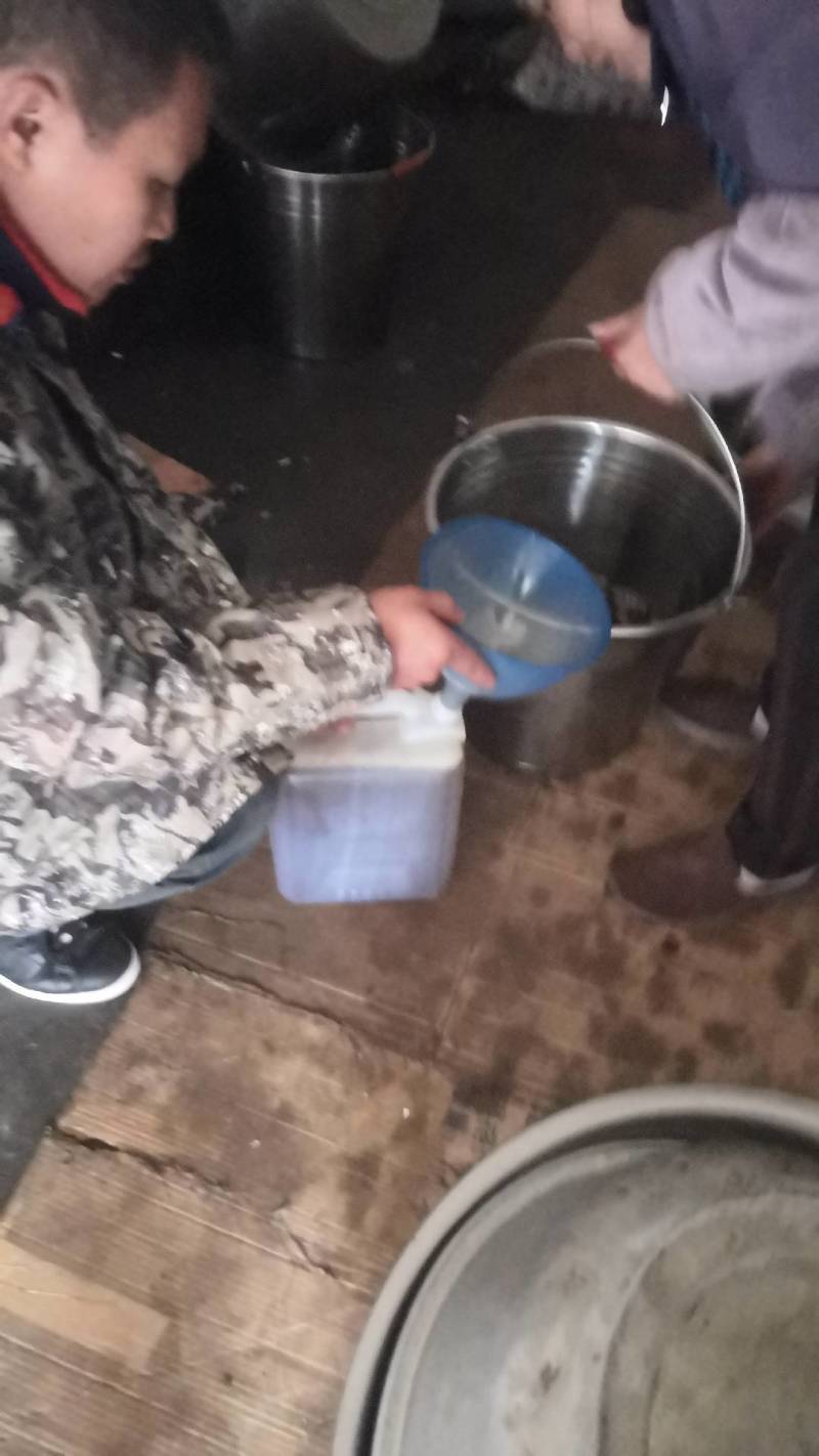 山茶油广西河池天峨县山茶油，自家榨的山茶籽油，无添加