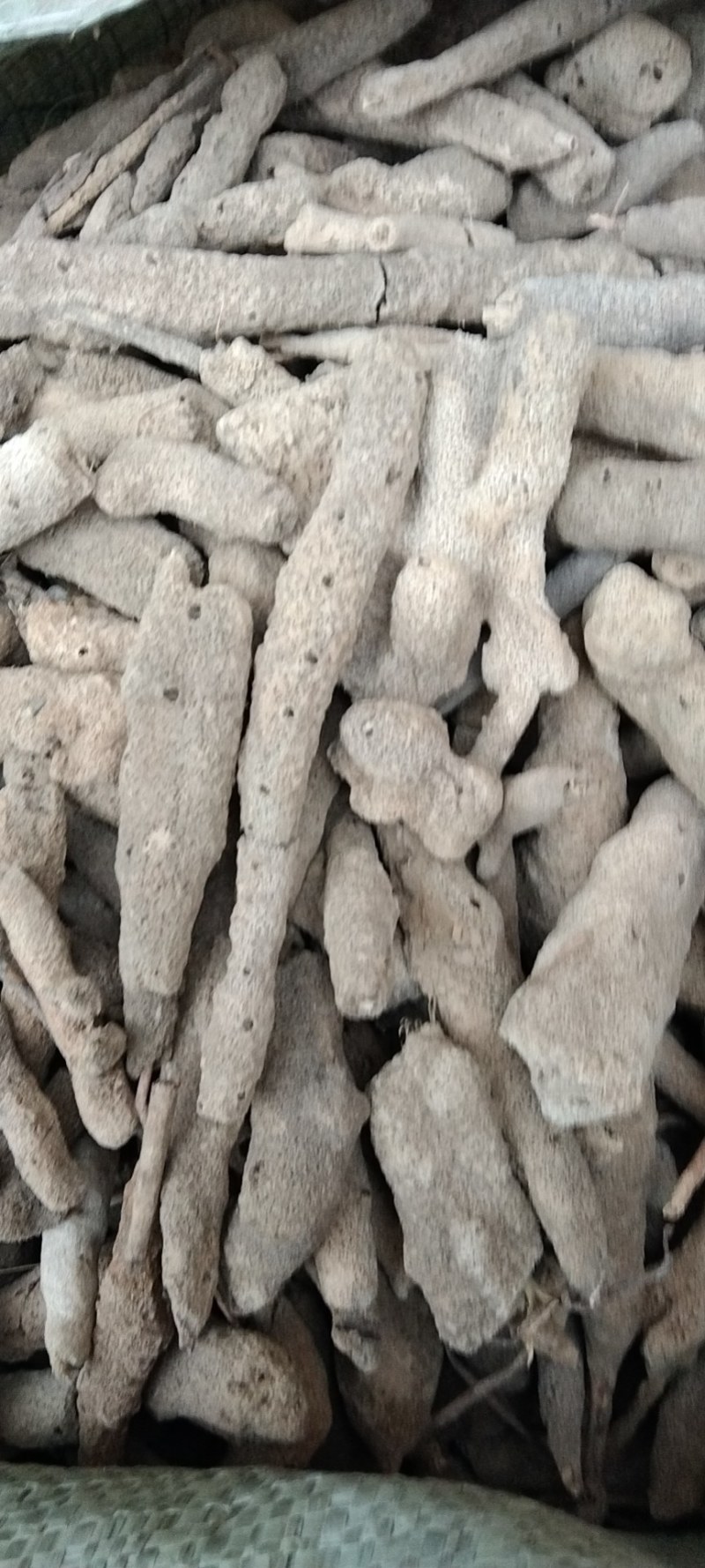 紫梢花，常年批发供应各种规格紫梢花量大从优货真价实