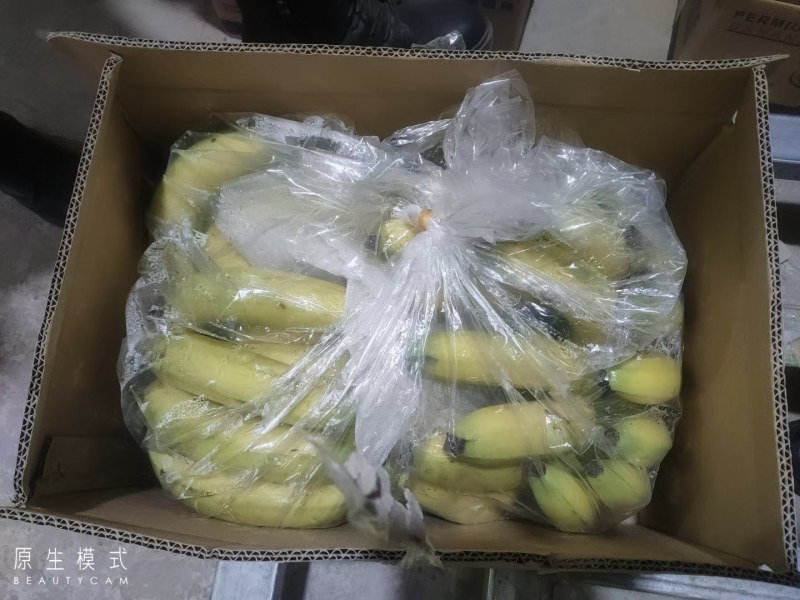 河北永年精品香蕉大量供应中，可供大型批发市场，超市