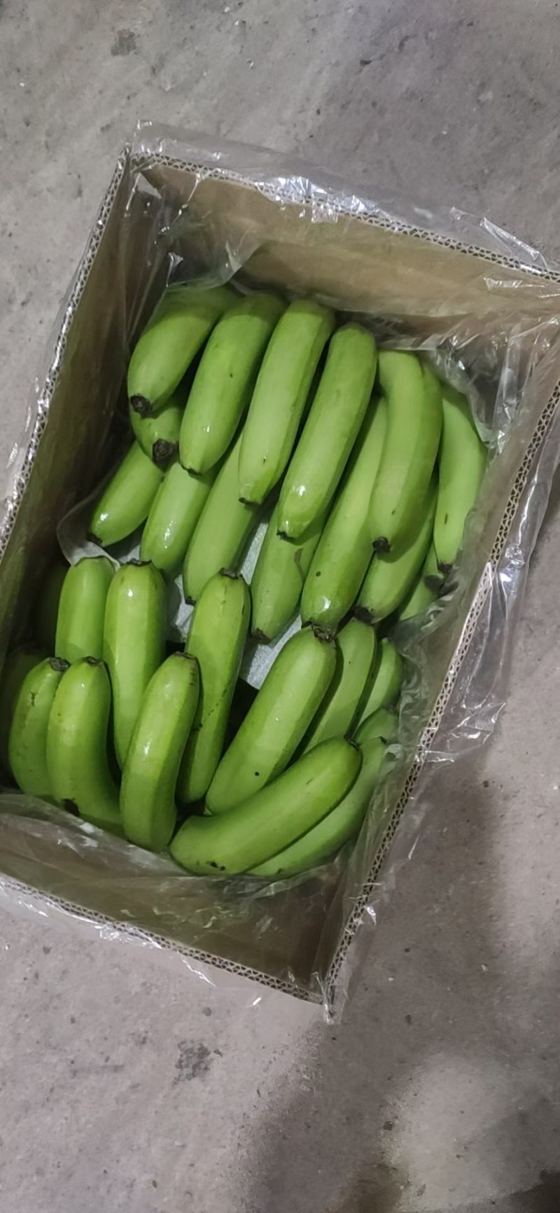 河北永年精品香蕉大量供应中，可供大型批发市场，超市