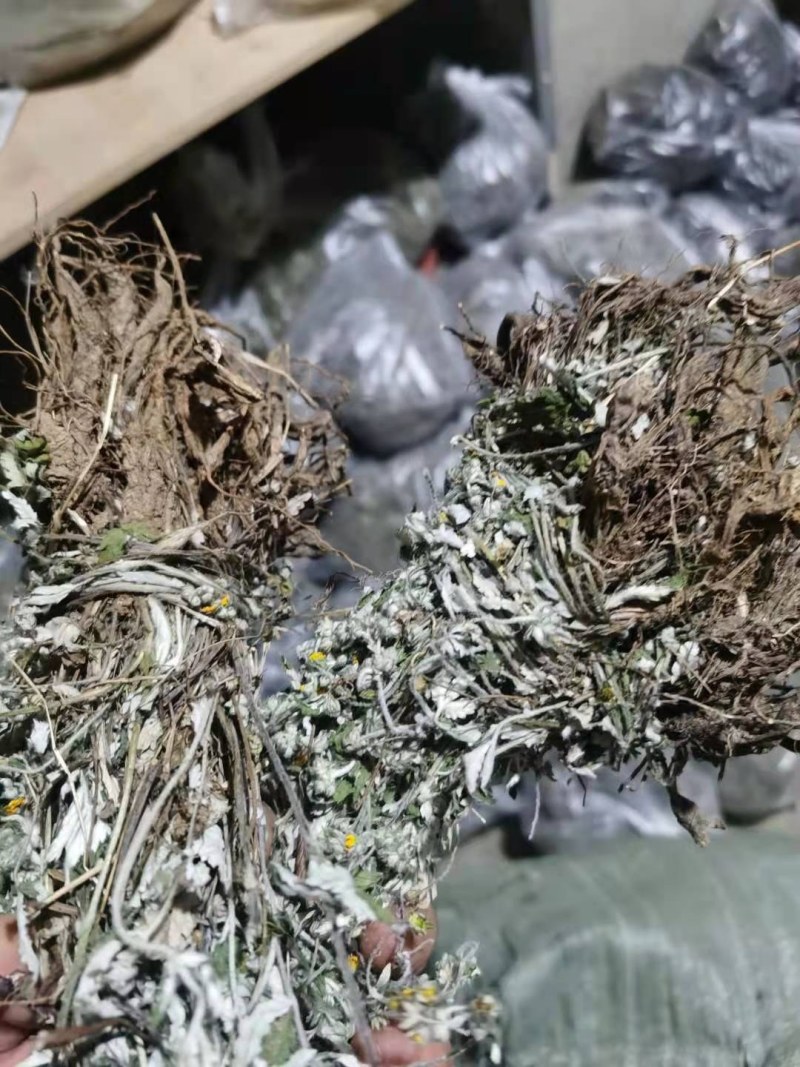翻白草扎把翻白草大别山野生中药材批发零售