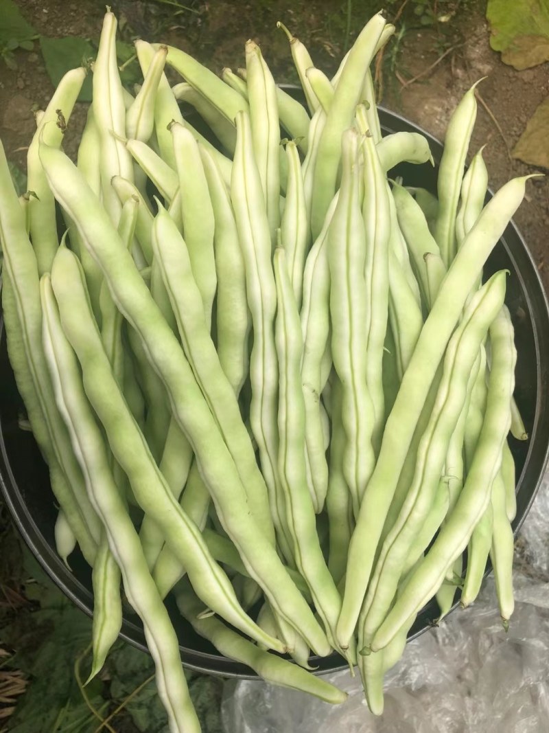 蔬菜
