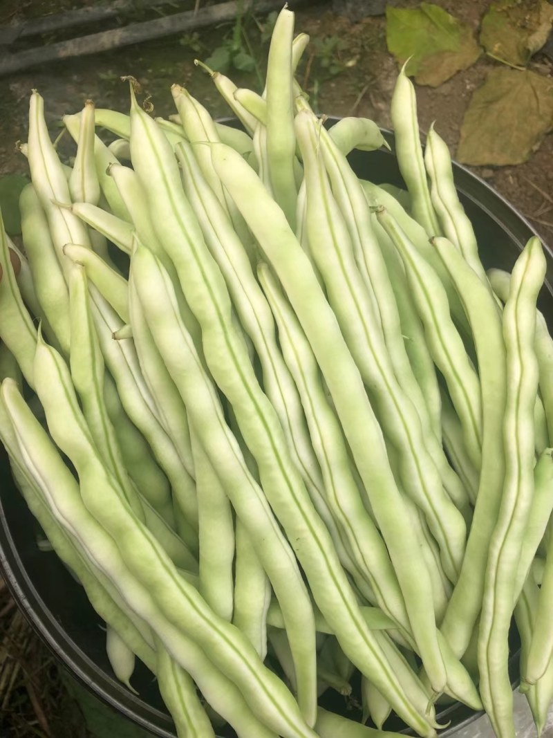 蔬菜