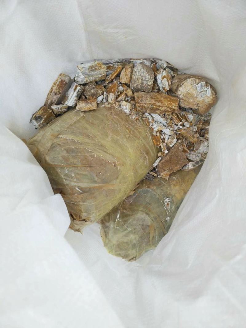 山西临猗，黄河边上沙层千年龙骨，龙牙有大小货，有完整化！